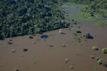 増水したアマゾン川