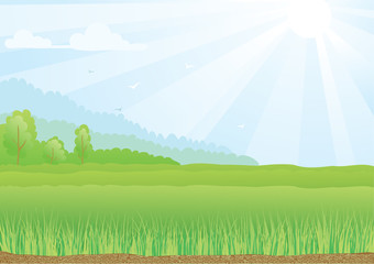 Illustration of green field with sunshine rays and blue sky.