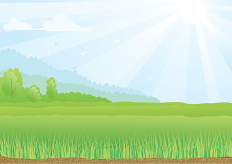 Obraz premium Illustration of green field with sunshine rays and blue sky.