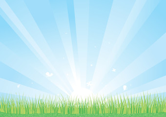 Blue sky and green grass background