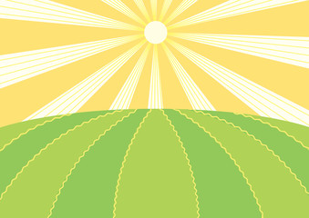 Summer field.Vector nature landscape with sun