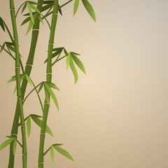 Fototapeta na wymiar Background with bamboo stems