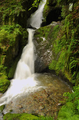 Fototapeta na wymiar Wasserfälle und Bäche im Schwarzwald