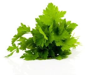 Fresh parsley on white background