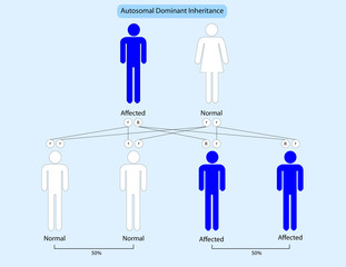 Autosomal dominant inheritance