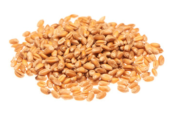 Pile of barley isolated on the white background