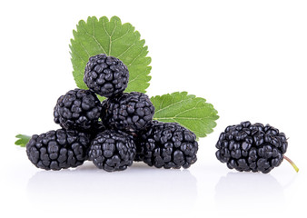 ripe mulberry berries with leaves