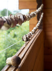 mushrooms drying on a string