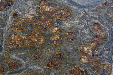 slate stone texture  background