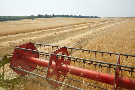 An agricultural combine cutting and harvesting wheat in the fertile farm fields of Idaho.
