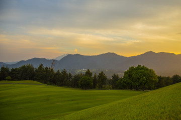 Fototapeta premium golf