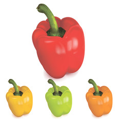 Colored peppers over white background. Vector illustration