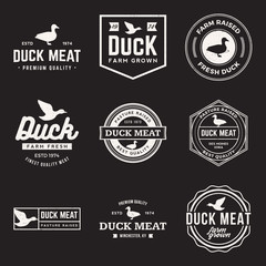 Obraz premium vector set of premium duck meat labels, badges and design elemen