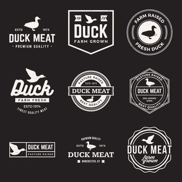 vector set of premium duck meat labels, badges and design elemen