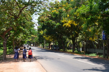 South Indian road