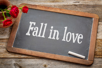 Fall in love advice  on blackboard - obrazy, fototapety, plakaty