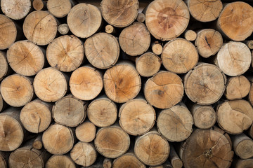 Pile of wood logs storage for industry