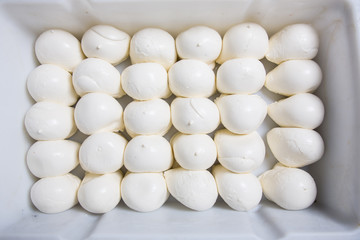 mozzarella cheese on a production