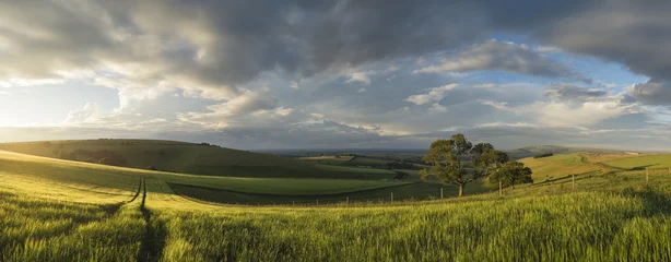 Rolgordijnen Beautiful panorama landscape South Downs countryside in Summer © veneratio