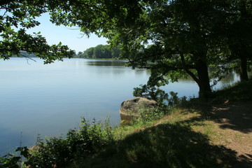 Pond with trees and stone