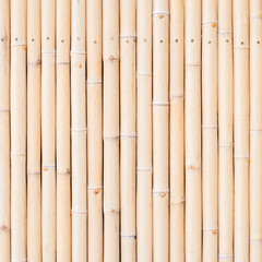 Bamboo wood texture