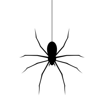 Spider black icon