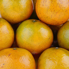 lose-up image of group oranges tropical fruit