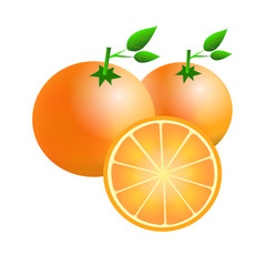 Oranges and half orange vector look juicy.