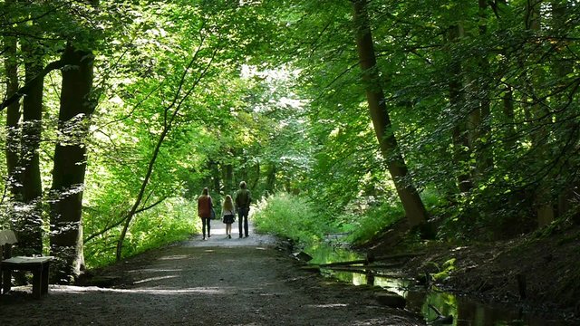 Skipton, North Yorkshire, United Kingdom. People enjoy walk through Skipton Castle Woods.