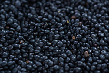 Black Lentils (food background)