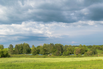 Old rural cemetery in the trees in the middle of grass meadows under the cloudy sky on a sunny summer day