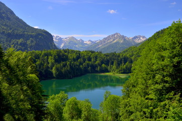 Fototapeta na wymiar Bergsee im Wald in den Alpen