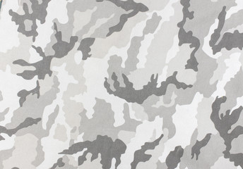 Camouflage pattern and background.