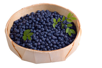 Blueberries
