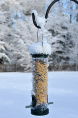 Snow Covered Bird Feeder
