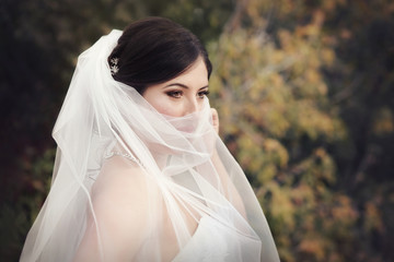 Beautiful mysterious bride