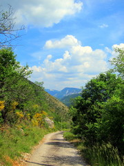 Fototapeta na wymiar Chemins de montagne