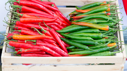 Chili Peppers in basket