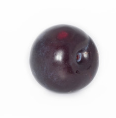 plum isolated