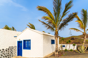 Fototapeta na wymiar Typical white house and palm tree in El Golfo village on coast of Lanzarote island, Spain