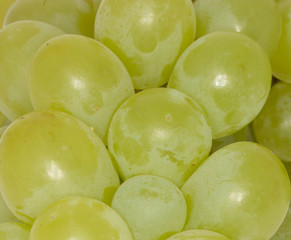 grape 