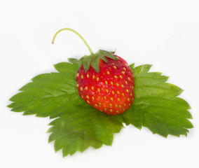 strawberry isolated