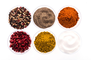 Pfeffer, Salz, Curry und Paprika in Schalen arrangiert vor weißem Hintergrund