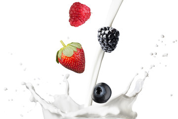 Milk Splash With Various Berries