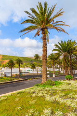 Fototapeta premium Road lined with palm trees to Haria mountain village, Lanzarote, Canary Islands, Spain