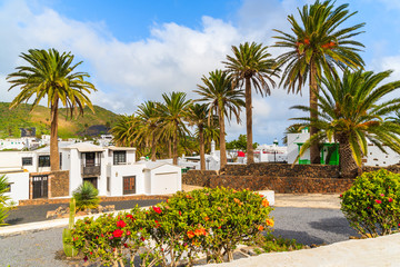 Fototapeta na wymiar Canary style houses in palm tree landscape of Haria village, Lanzarote island, Spain