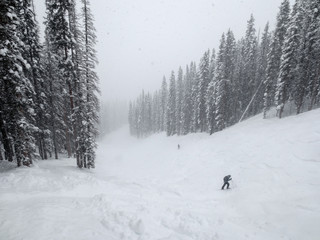 Looking down a black diamond ski run during a snow storm