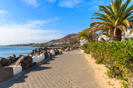 Coastal promenade with tropical plants in Playa Blanca holiday village, Lanzarote, Canary Islands, Spain