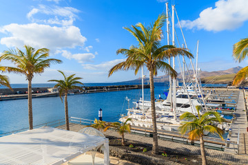 Palm trees in Puerto Calero marina built in Caribbean style, Lanzarote island, Spain © pkazmierczak