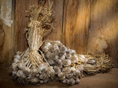 Still life with garlics